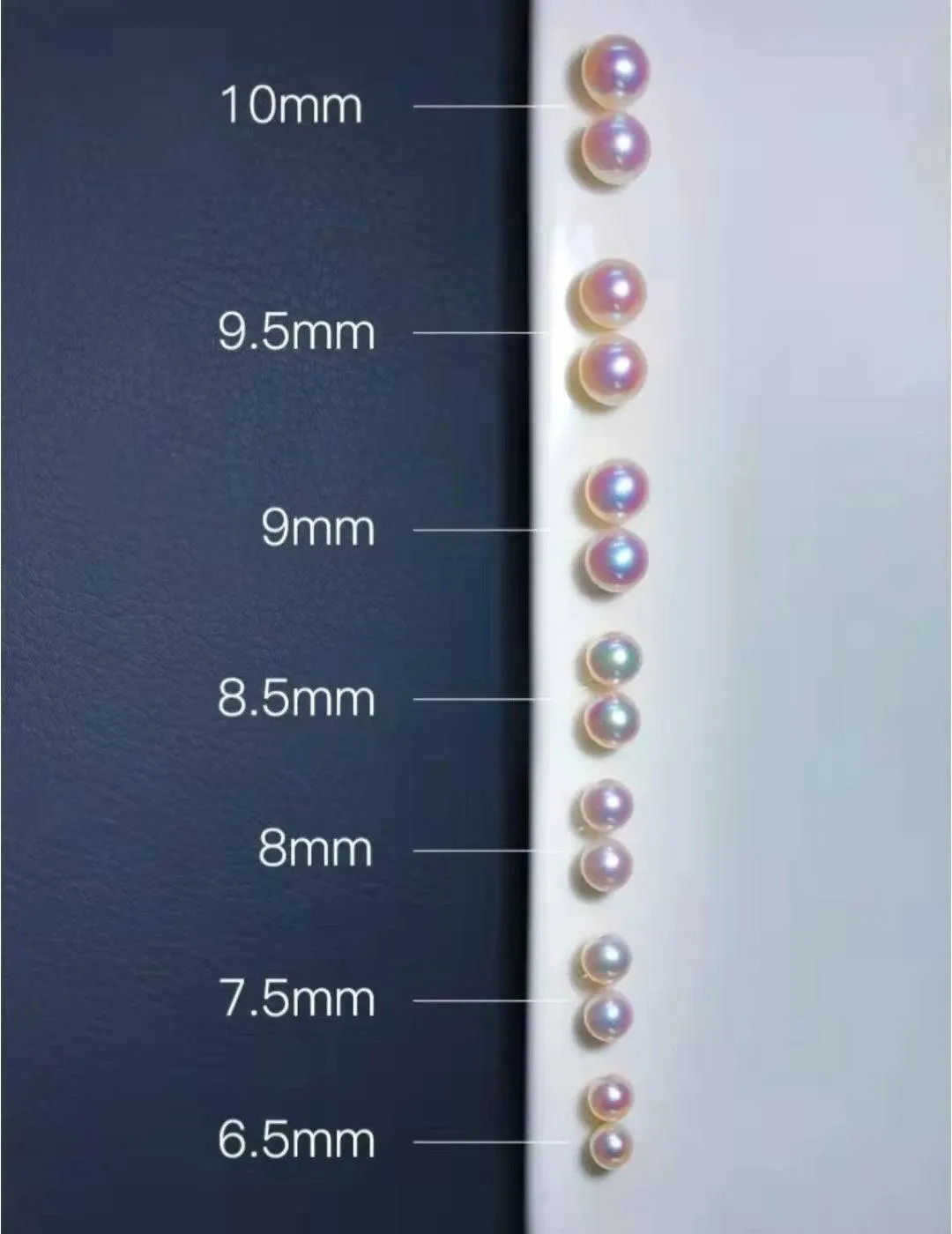 7-7.5mm Akoya Pearl Stud Earrings Sterling Silver