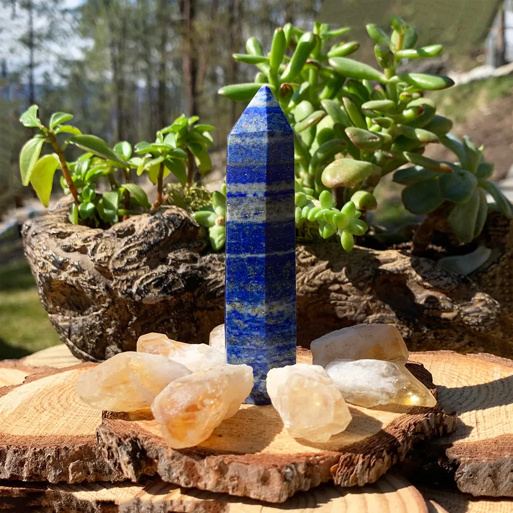 FREE GIVEAWAY! Lapis Lazuli & Natural 8 PC Citrine Shards (Just Pay Cost of Shipping)