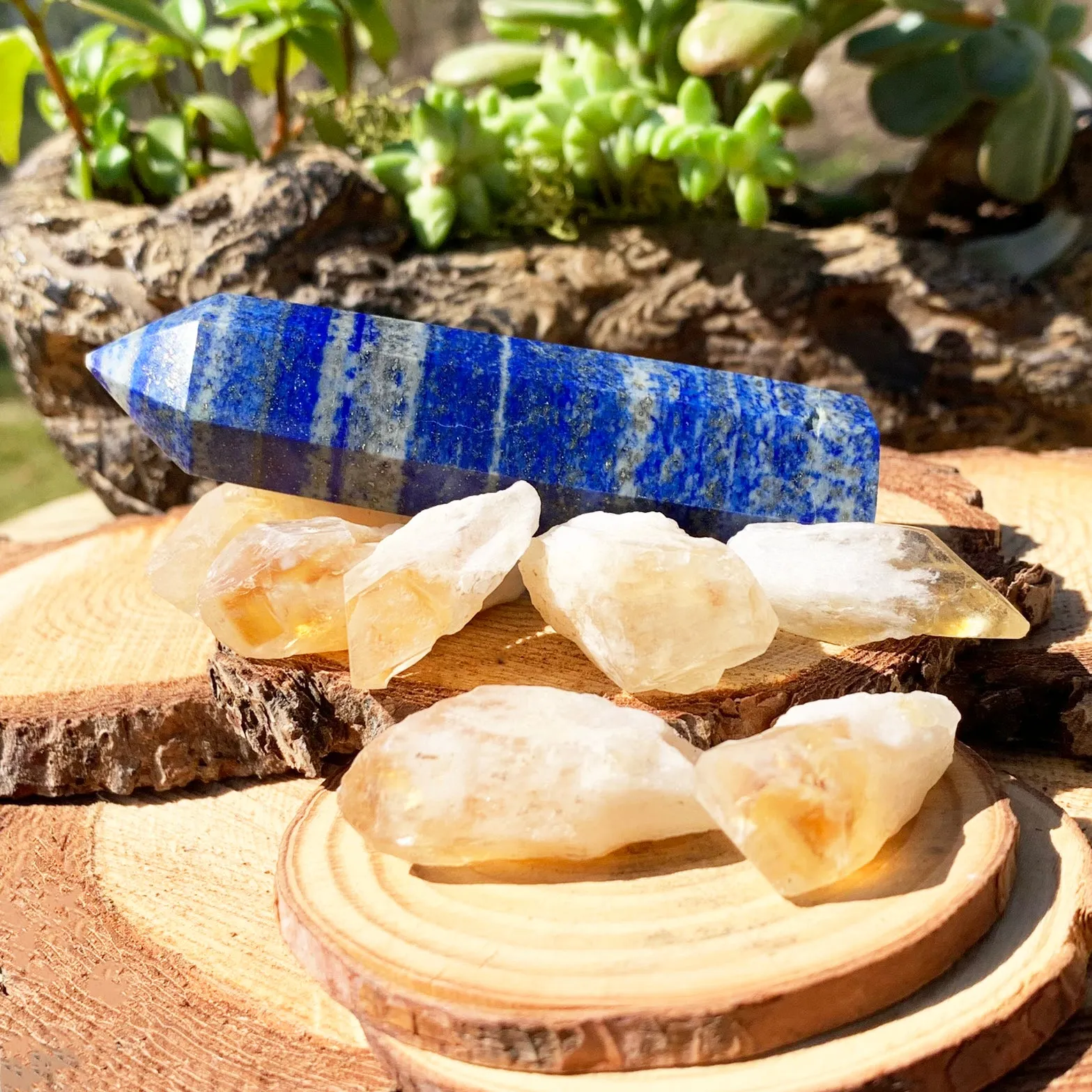 FREE GIVEAWAY! Lapis Lazuli & Natural 8 PC Citrine Shards (Just Pay Cost of Shipping)